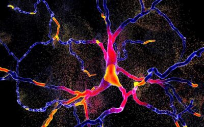 Cambridge Antibody Technology